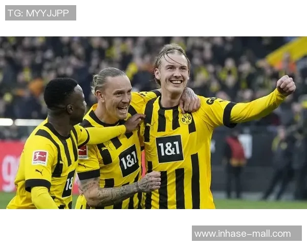 多特蒙德与弗赖堡精彩对决录像回放分析及赛后点评